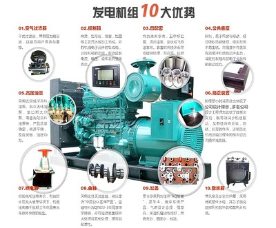 山東濰坊養殖發電機沼氣發電機_魯柴動力燃氣發電機組廠家全國聯保送貨上門
