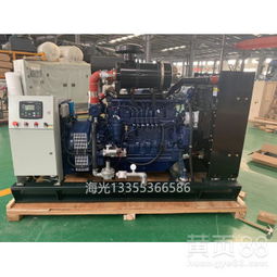 濰柴80千瓦沼氣發(fā)電機(jī) 全自動(dòng)燃?xì)獍l(fā)電機(jī)組的高效能源解決方案