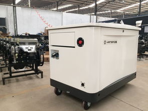 箱式靜音型20kW多燃料發電機報價 燃氣發電機組全面解析